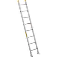 Industrial Heavy-Duty Extension/Straight Ladders, 10', Aluminum, 300 lbs., CSA Grade 1A VC274 | Action Paper