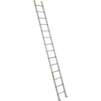 Industrial Heavy-Duty Extension/Straight Ladders, 14', Aluminum, 300 lbs., CSA Grade 1A VC276 | Action Paper