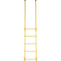Walk-Through Style Dock Ladder VD450 | Action Paper
