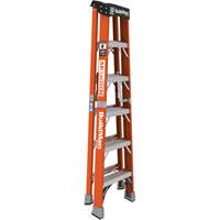Step Ladder, 6', Fibreglass, 375 lbs. Capacity, Type 1AA Action Paper