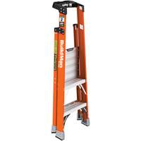 Safespace Platform Step Ladder, 2', 300 lbs. Cap. Action Paper