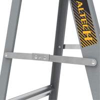 Step Ladder with Paint Tray, 6', Fibreglass, 225 lbs. Capacity, Type 2 Action Paper