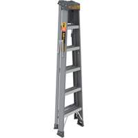 Step Ladder with Paint Tray, 6', Fibreglass, 225 lbs. Capacity, Type 2 Action Paper