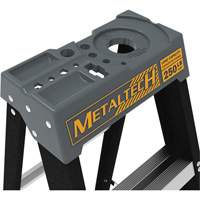 Step Ladder with Paint Tray, 10', Fibreglass, 250 lbs. Capacity, Type 1 Action Paper