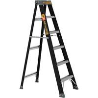 Step Ladder, 6', Fibreglass, 250 lbs. Capacity, Type 1 Action Paper