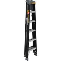 Step Ladder with Paint Tray, 6', Fibreglass, 250 lbs. Capacity, Type 1 Action Paper