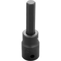 Socket Bit, Hex, 10 mm x 3-1/4" L, 1/2" Drive Action Paper