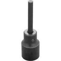 Socket Bit, Hex, 6 mm x 3-1/4" L, 1/2" Drive Action Paper