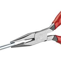 Long Nose Pliers with Cutter, 5" L Action Paper