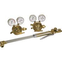 PROFESSIONAL KV850-21 Without  TIPS AND ACCESS V STYL Action Paper