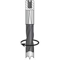 Foret &agrave; percer, Carbure Action Paper