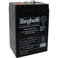 Sealed Lead Acid Batteries, 6 V, 5 Ah Action Paper
