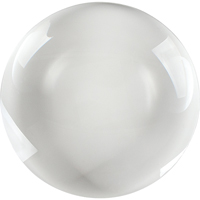 Auxiliary Lenses Action Paper