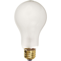 Economy Line Incandescent Lamps Action Paper
