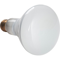 Economy Line Incandescent Lamps Action Paper