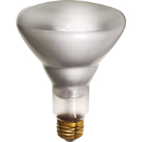 Economy Line Incandescent Lamps Action Paper