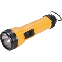Lampe de poche AFL100, DEL, 35 lumens, Piles D Action Paper