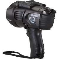 Waypoint&reg; Pistol Grip Spotlight, LED, 550 Lumens, C Batteries Action Paper
