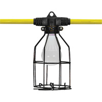 Flood Light, LED, 20 W, 1440 Lumens, Aluminum Housing Action Paper