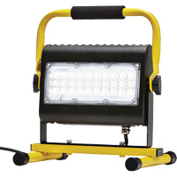 Flood Light, LED, 50 W, 4800 Lumens, Aluminum Housing Action Paper