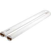 OCTRON<sup>®</sup> 800 CURVALUME Fluorescent Lamps, 31 W, T8 U-Shaped, 4100 K, 22.5" Long XG991 | Action Paper