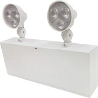 Easy-Out Battery Unit, Steel, LED, 120 - 347 V Action Paper