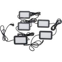 LED String Work Lights, 5 Lights, 50' L, Plastic Housing Action Paper