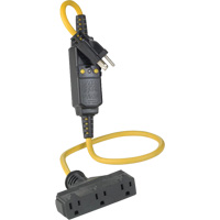 Triple-Tap Inline GCFI Extension Cord & Connector, 120 V, 15 Amps, 3' Cord Action Paper