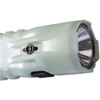 Lampe de poche, DEL, 378 lumens, Piles AA Action Paper
