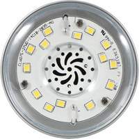 Ultra LED™ High Lumen Lamp, HID, 27 W, 5000 Lumens, Medium Base XI555 | Action Paper