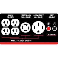 G&eacute;n&eacute;ratrice &agrave; essence/propane &agrave; d&eacute;marreur &eacute;lectrique Action Paper