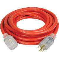 Generator Extension Cord with Quad Tap, Outdoor, 10 AWG, 30 A, 4 Outlet(s), 25' Action Paper