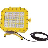 Explosion Proof Floodlight with Floor Stand, LED, 40 W, 5600 Lumens, Aluminum Housing Action Paper