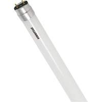 SubstiTUBE<sup>®</sup> Frosted Glass LED Bulb, 12 W, T8, 5000 K, 48" L XJ097 | Action Paper
