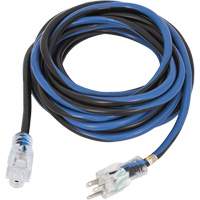 Contractor Grade Extension Cord, SJTOW, 14 AWG, 13 A, 100' XJ172 | Action Paper