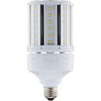 Ampoule HID de remplacement sélectionnable ULTRA LED<sup>MC</sup>, E26, 18 W, 2700 lumens XJ275 | Action Paper