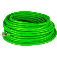 Extension Cords