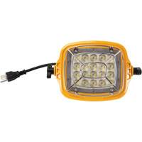7000 Lumen 50 W Docking Light Head Action Paper