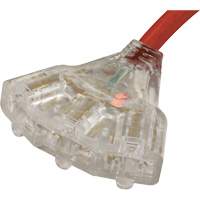 Generator Extension Cord with Tritap, STW, 10 AWG, 3 Outlet(s), 25' Action Paper